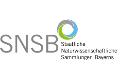 Logo Staatliche Naturwissenschaftliche Sammlungen Bayerns (SNSB)